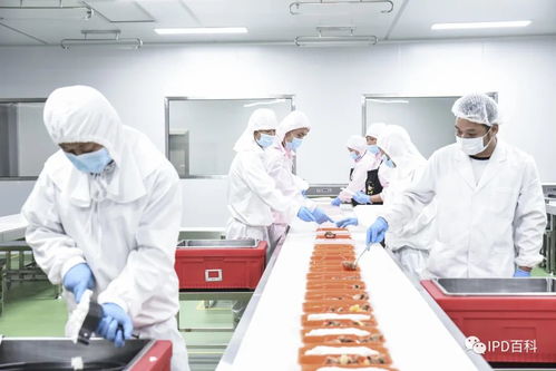 IPD在食品行業的深度應用與技術咨詢賦能之道